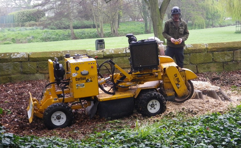 Stump grinding