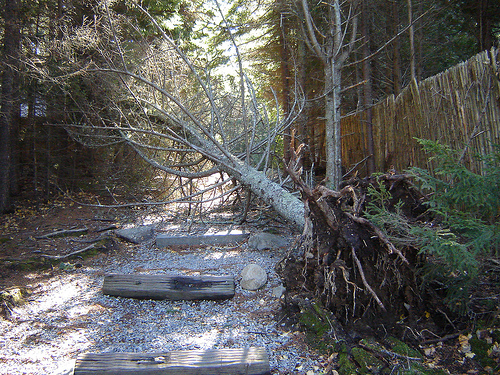 Storm damage